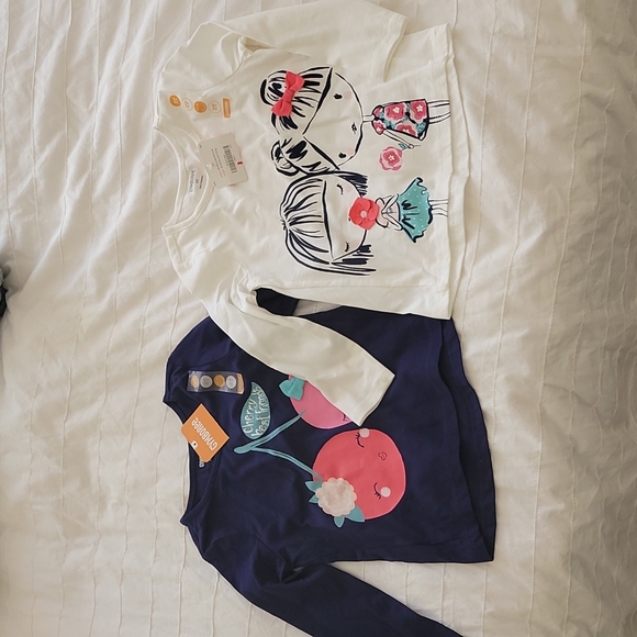 Gymboree Other - Bundle of 2 Gymboree long sleeve shirts